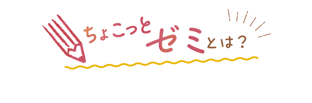 ちょこっとゼミとは？