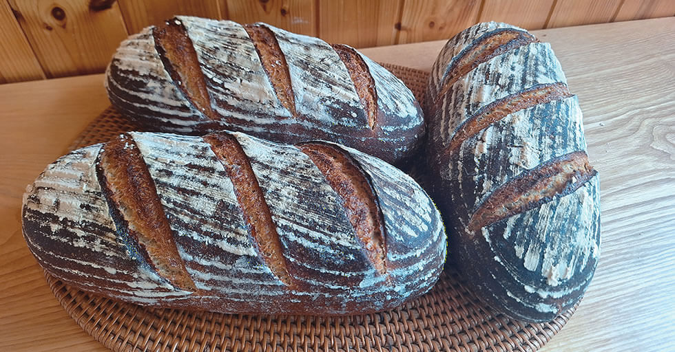 会員イメージ画像