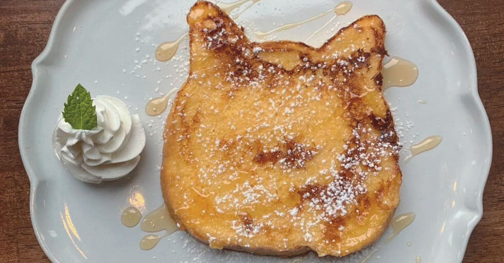 会員イメージ画像