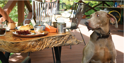 MITAKE Deck Cafe Bitte