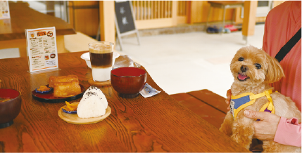 うつぼや荘 気まぐれぼ～や