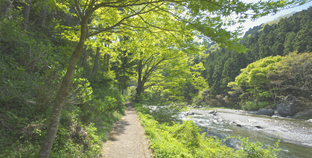 御岳渓谷遊歩道