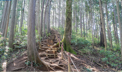 青梅丘陵ハイキングコース