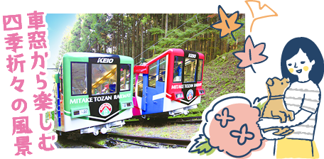 車窓から楽しむ四季折々の風景