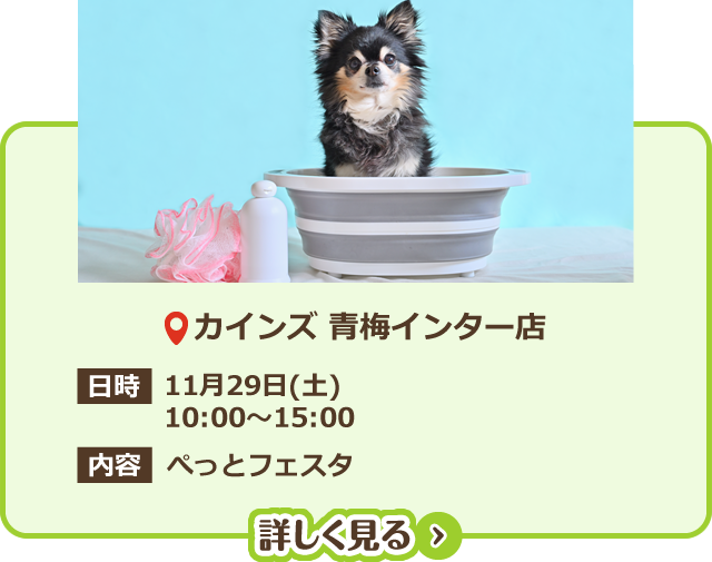 カインズ青梅インター店 ぺっとフェスタ