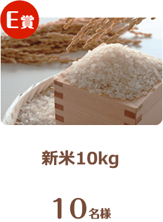 新米10kg 10名様
