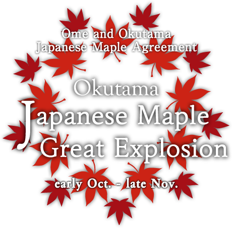 The agreement between Ome and Okutama Japanese Maple Okutama Japanese Maple Great Explosion