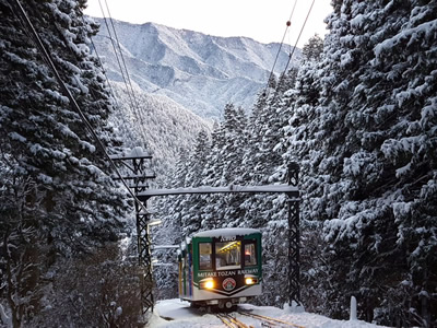 Snowy landscape