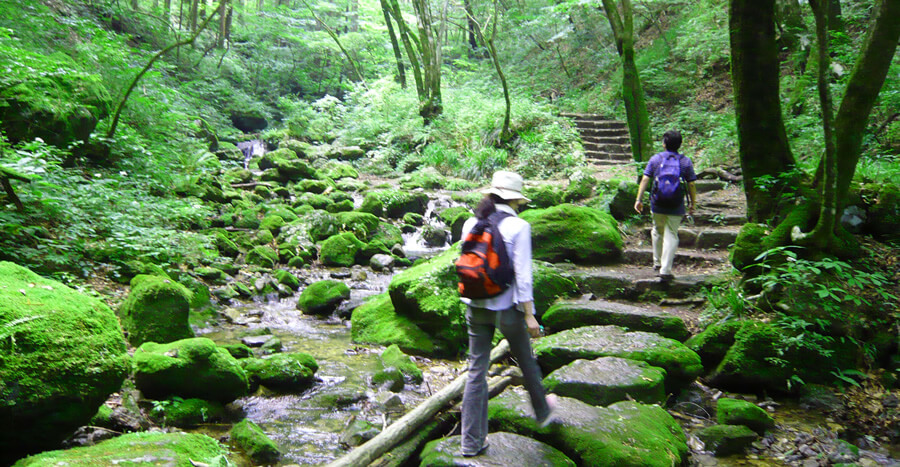 Rock garden