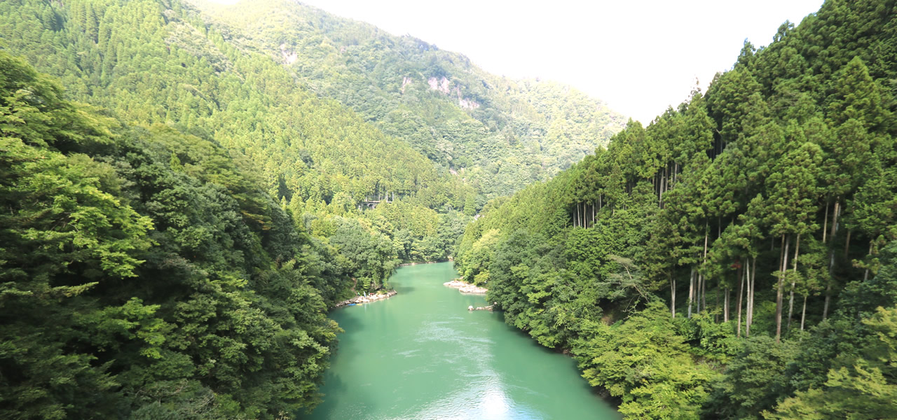 氷川・鳩ノ巣エリア