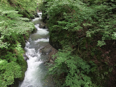 Nippara Valley