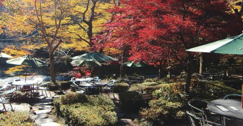 小澤酒造(澤乃井園)